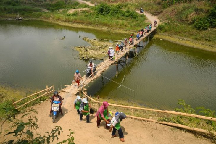 Jembatan kayu penghubung desa