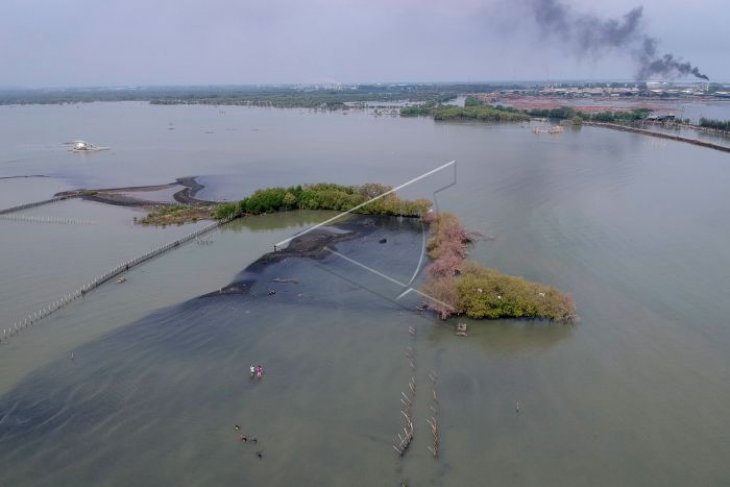 Abrasi pantai Mangunharjo