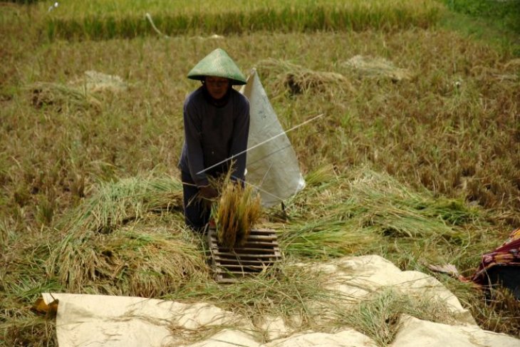 Percepatan peningkatan produksi pangan