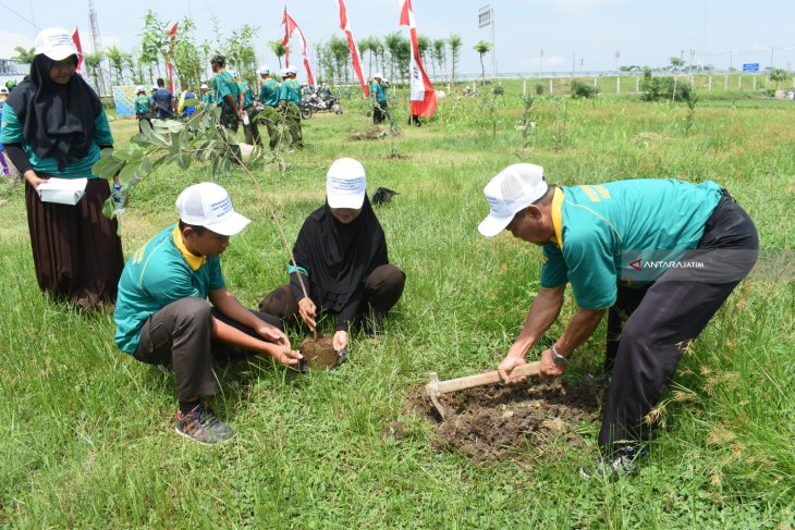 Gerakan Penghijauan Dan Konservasi Alam