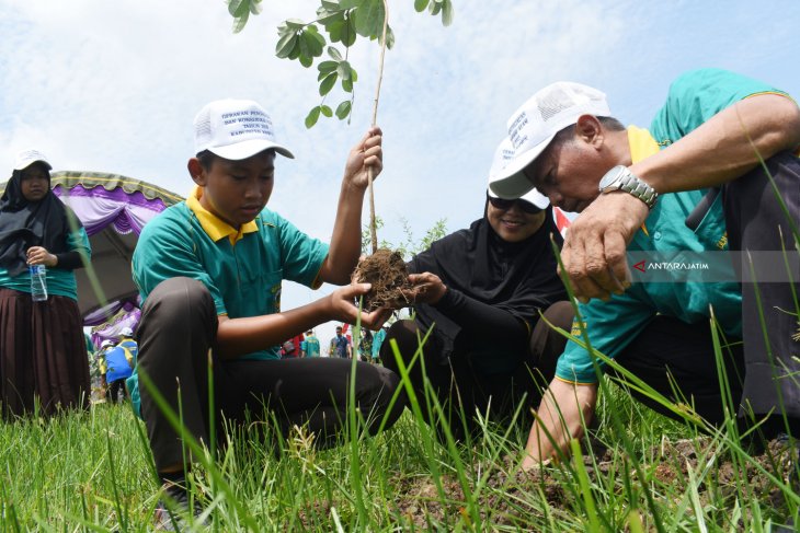 Gerakan Penghijauan Dan Konservasi Alam