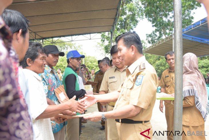 Pemkab Bangka Tengah salurkan 240.000 bibit lada