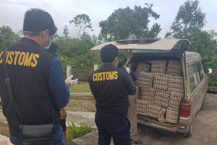 Karantina Entikong musnahkan belasan ribu telur ilegal