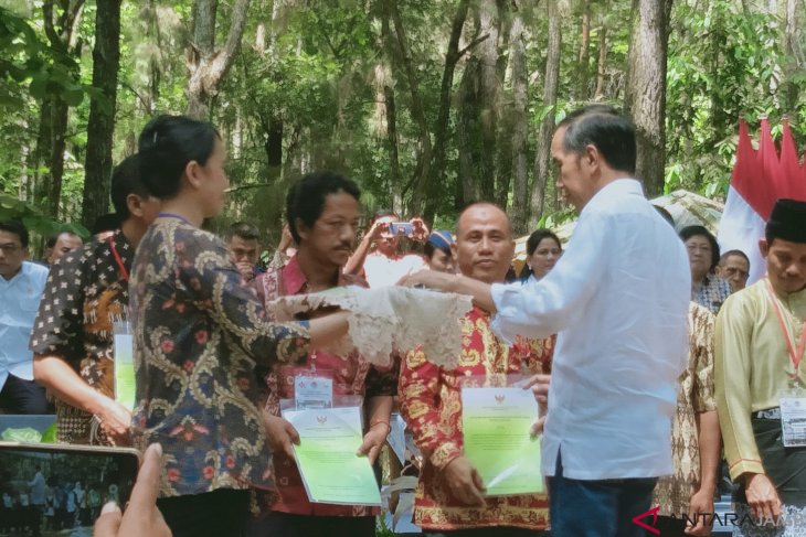 Menko Perekonomian: Perhutanan Sosial dikombinasikan bantuan permodalan