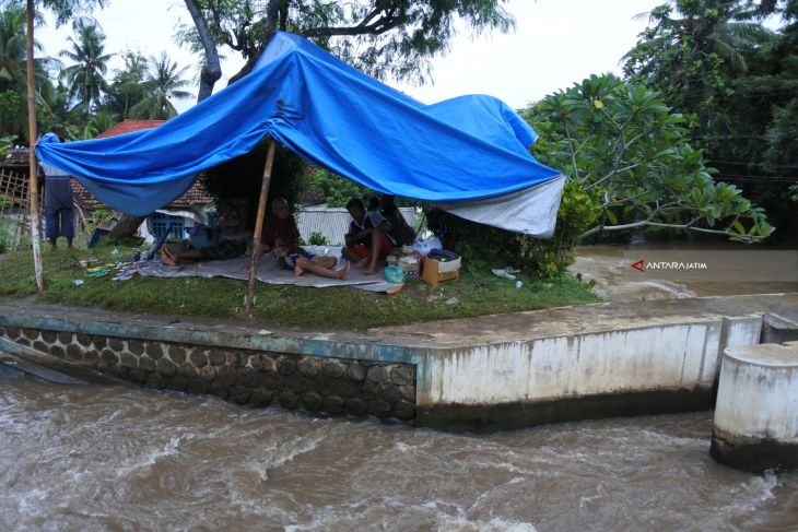 Pengungsi Banjir Di Jember