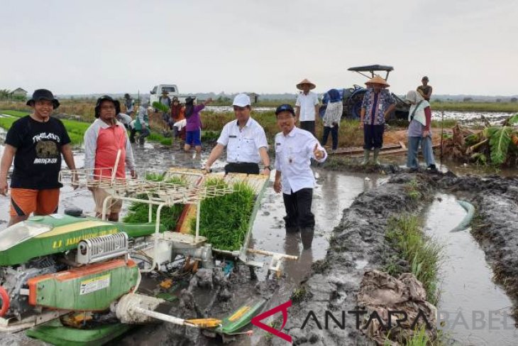Bangka Selatan optimis bisa swasembada pangan
