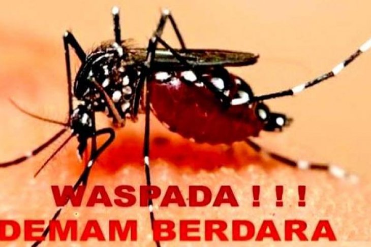 Masuki musim penghujan, Bupati himbau waspadai penyakit demam berdarah