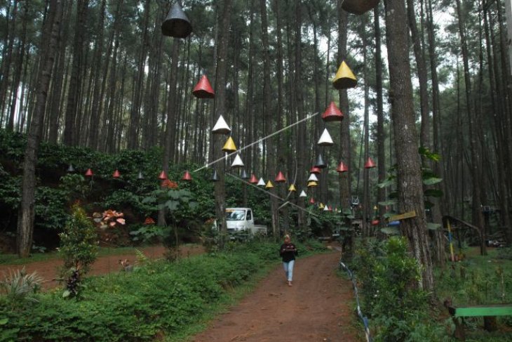 Hutan wisata Sigrowong