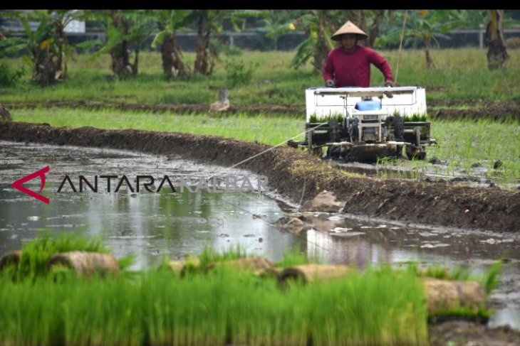 Mekanisasi pertanian padi di Semarang