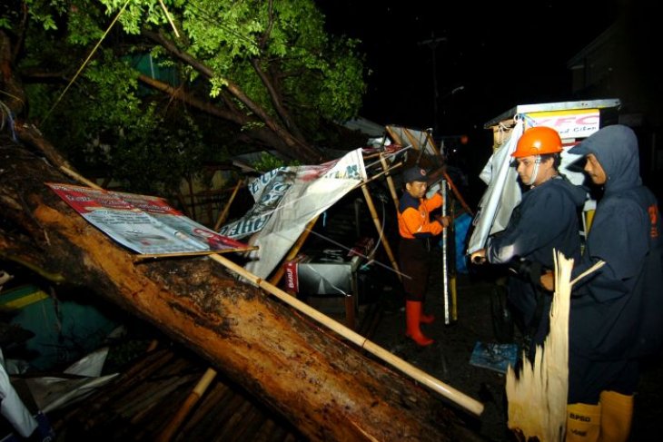 Pohon tumbang dilanda angin kencang