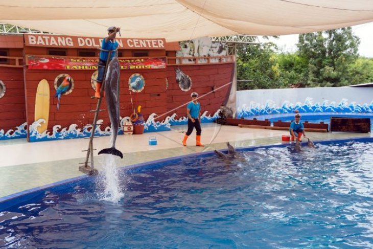 Wisata Batang Dolphins Center