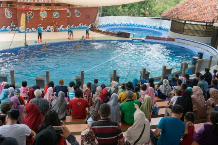 Wisata Batang Dolphins Center