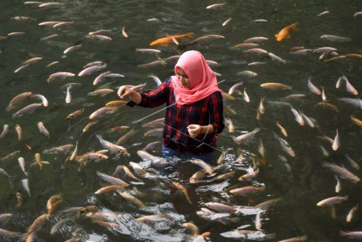 Wisata mata air Umbul Senjoyo