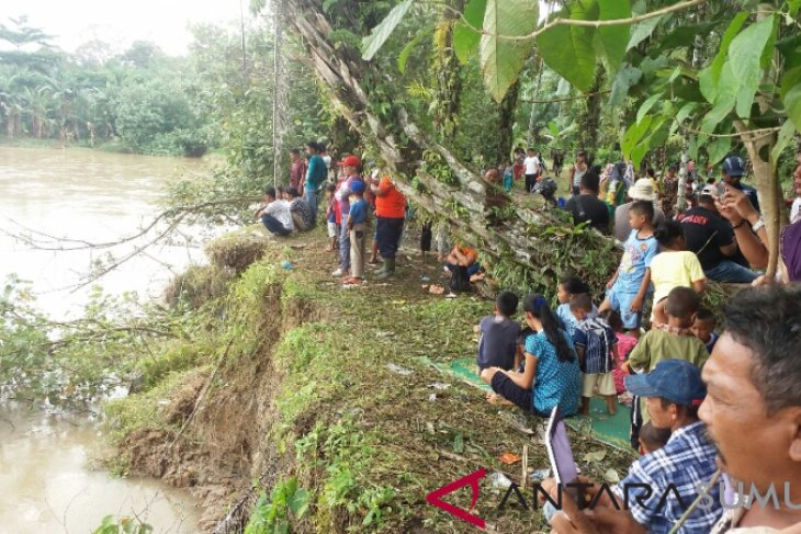 Disesalkan, lambannya evakuasi lumba-lumba putih di Sungai Kualuh