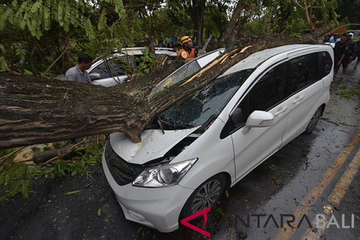 BALI DILANDA ANGIN KENCANG