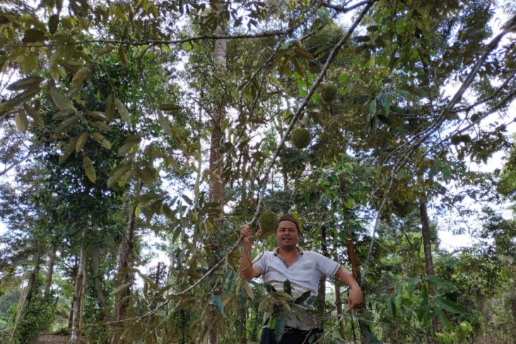 Tokoh masyarakat Desa Namang bangun kawasan wisata