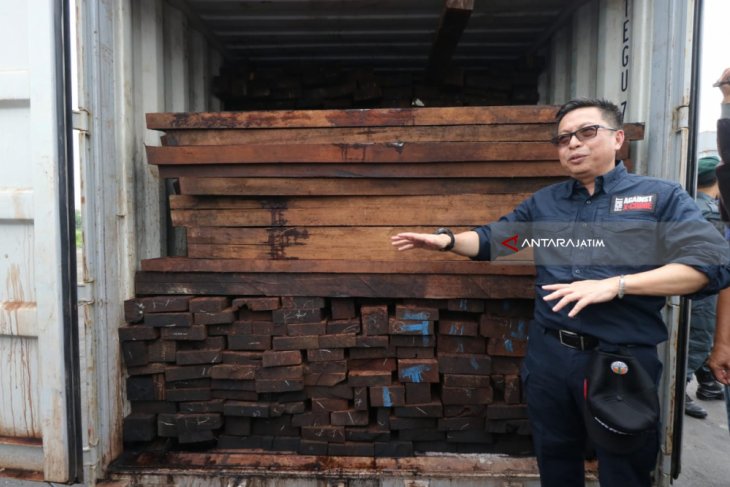 KLHK Sita Ratusan Kontainer Kayu Ilegal