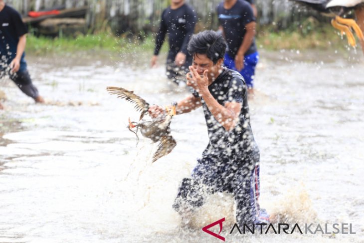 Lomba tangkap itik