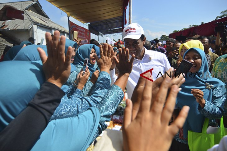 Mentan tebar ayam kampung petelur 