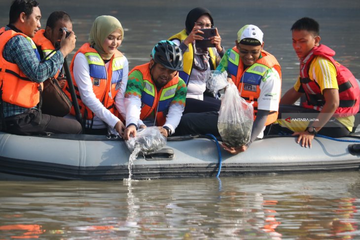 Pelindo III Lepas Bibit Nila di Kalimas