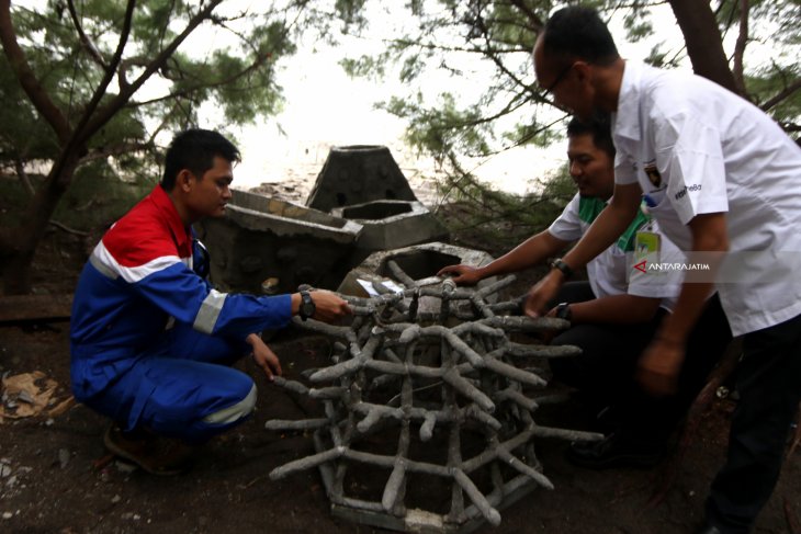 Program Rehabilitasi Terumbu Karang Pertamina