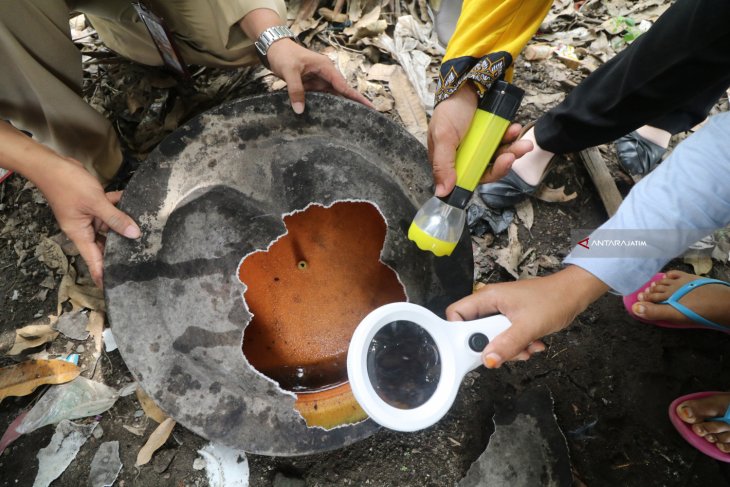 Sidak Jentik Nyamuk Aedes Aegypti