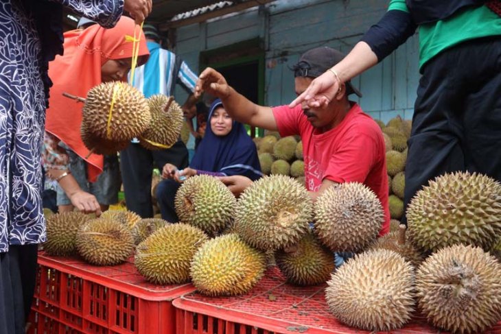 Wisata Belah Durian