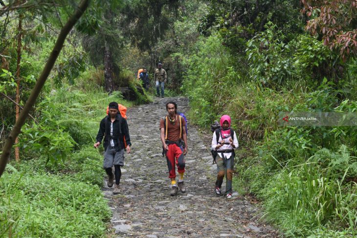 Pendaki Gunung Lawu Menurun