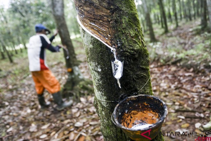 Karet untuk campuran aspal