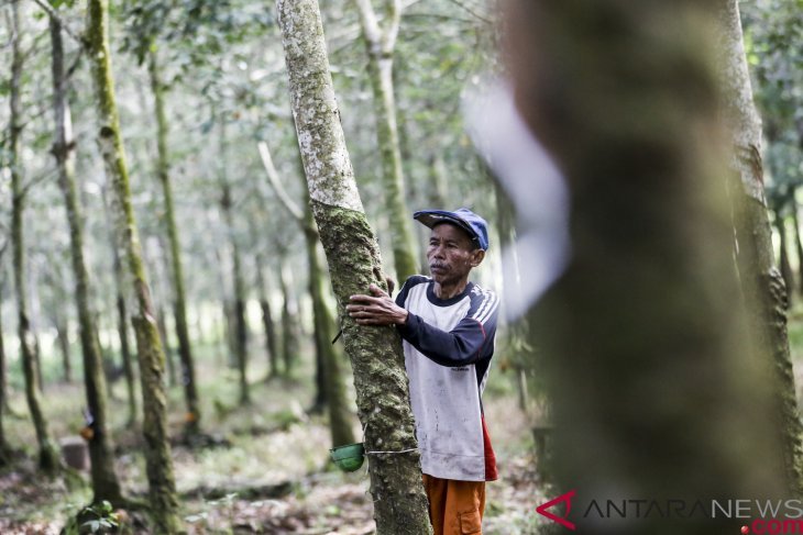 Karet untuk campuran aspal