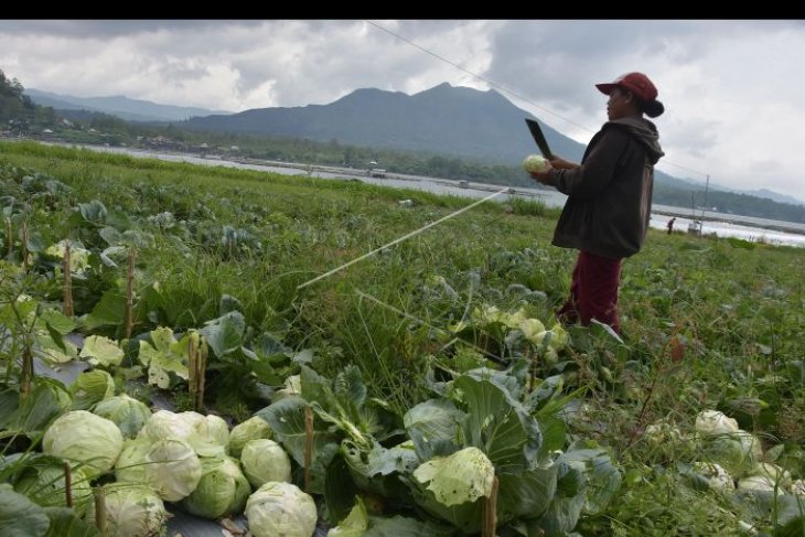 Kebijakan perlindungan pertanian Bali