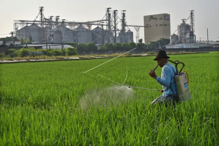 Lahan baku sawah