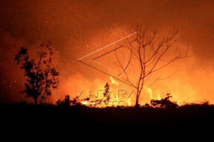 Kebakaran Lahan Gambut di Aceh Barat