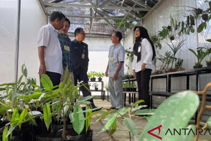 Distan Kalbar kembangkan Durian Serumbut asal Sekayam
