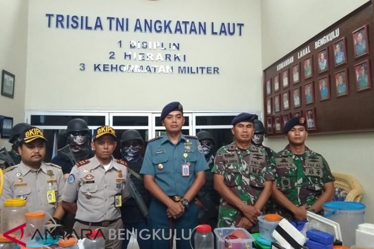 Lanal dan Balai Karantina amankan pengepul