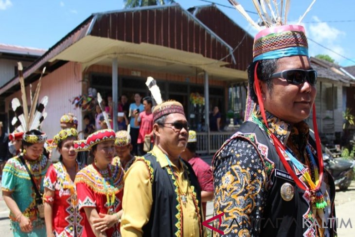 BUPATI MAHULU NAIK KE LAMIN ADAT