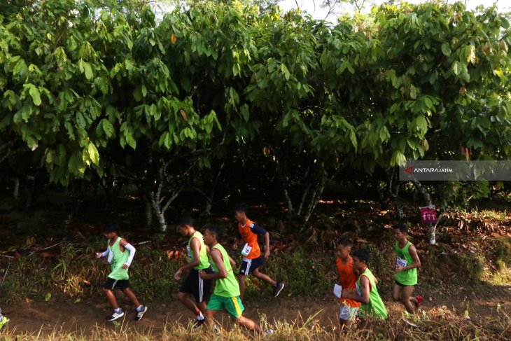 Lari Lintas Alam Perkebunan Kakao