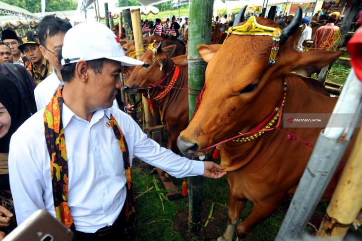 Kunjungan Kerja Mentan Di Pamekasan