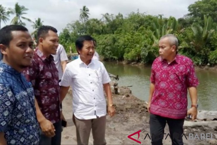 Wagub Babel kagumi Festival Rabeng Kito di hutan mangrove