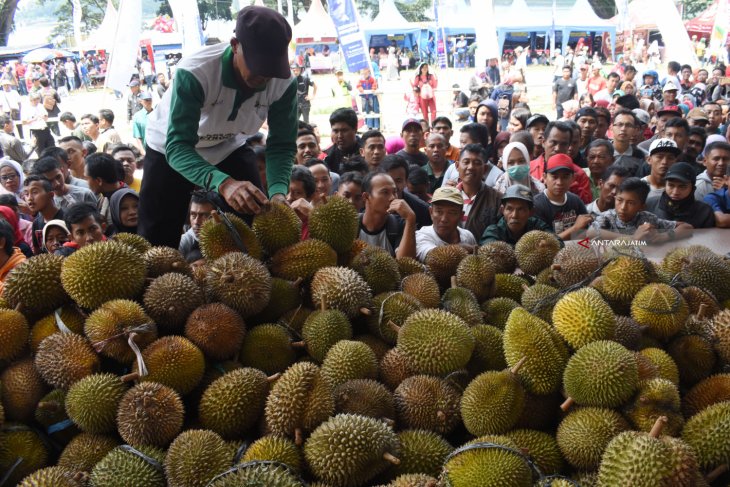 Pembagian Durian Gratis Di Ponorogo