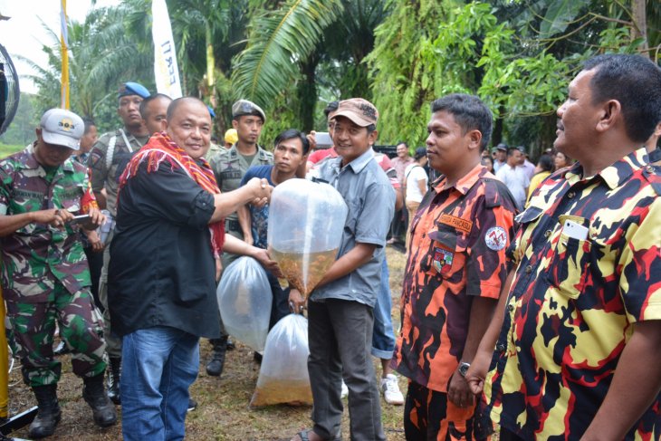 Panen raya di Sei Bingei, Bupati Langkat sebut petani ujung tombak program ketahanan pangan