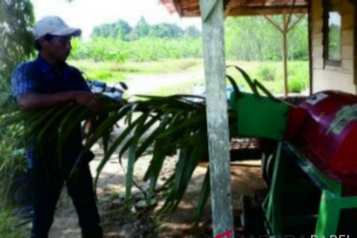 Pengolahan 8 juta ton batang limbah peremajaan sawit butuh dana besar