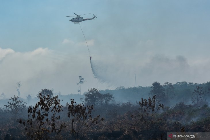 10 helicopters, one Cassa deployed to fight Riau's forest fires