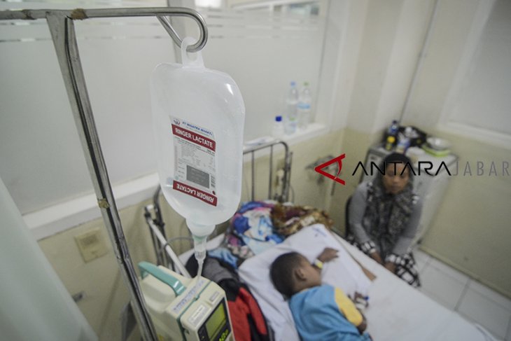 Dua meninggal karena DBD di Singkawang