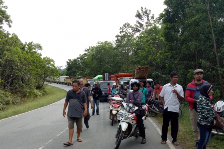 Kecelakaan bus di Jalan Trans Kalimantan