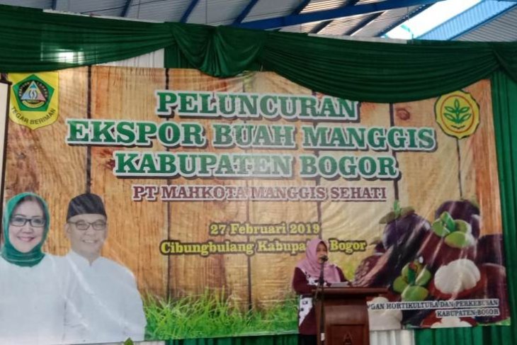 Manggis Bogor kini mendunia
