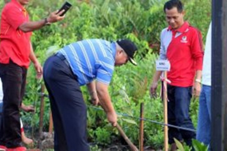 Bupati Tanjabbar ajak warga aktif tanam mangrove