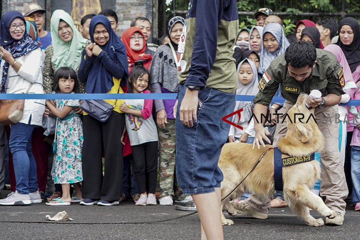 simulasi anjing pelacak