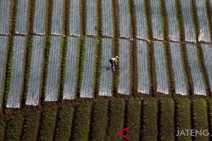 Peningkatan kualitas SDM petani