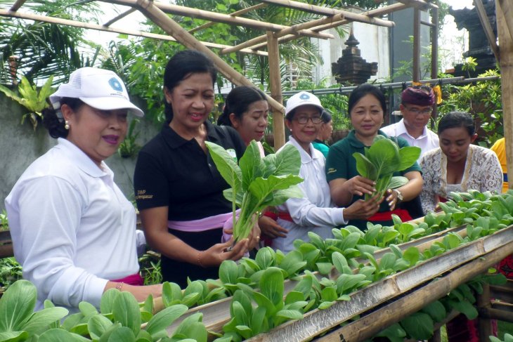 PKK lakukan program